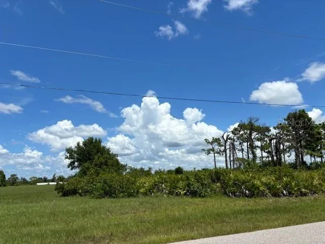 a view of a big yard with flower plants and large tree
