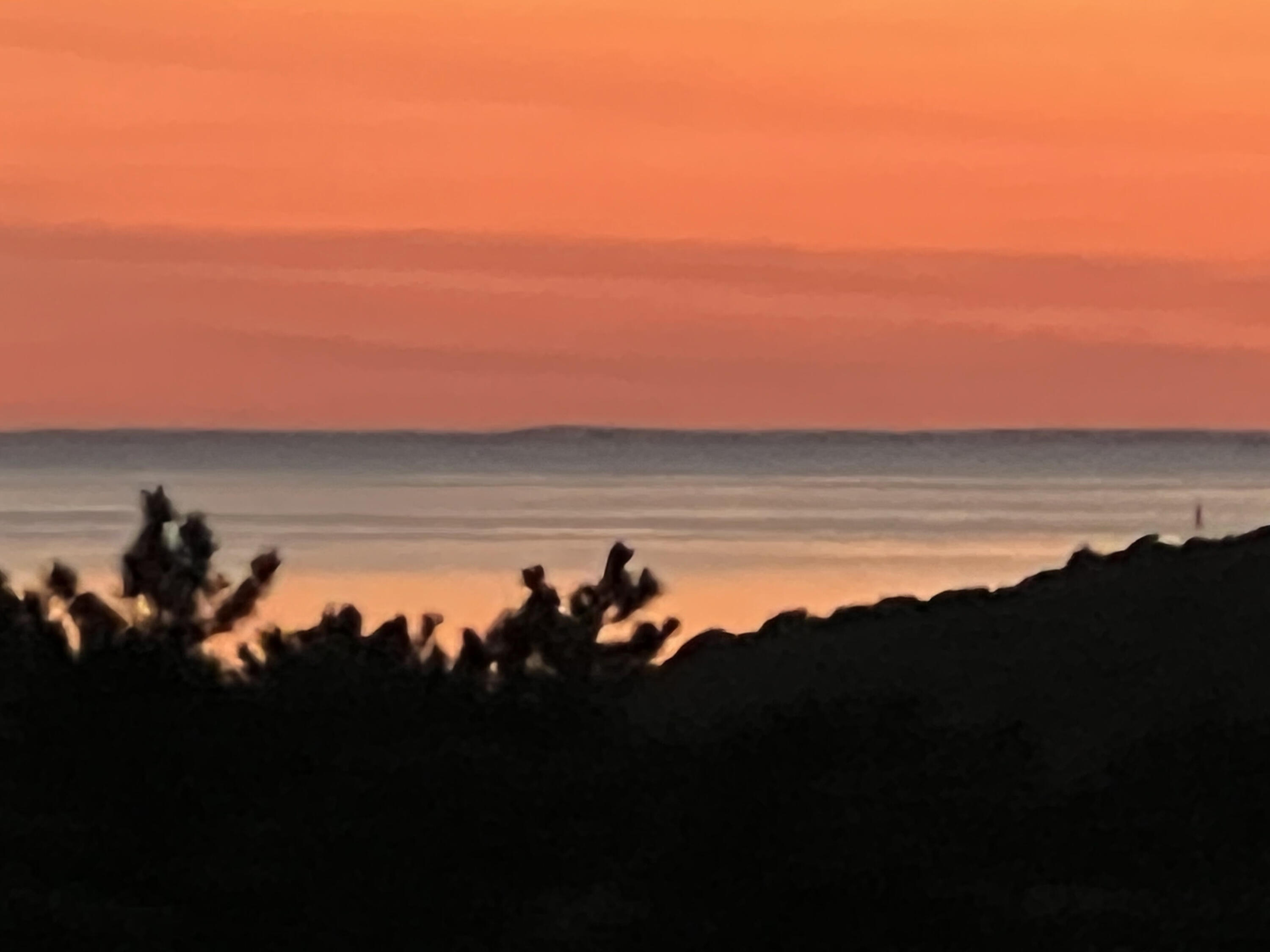 6 Short Lots Lane Truro, MA 02666 - Photo 40 of 63 a view of a beach