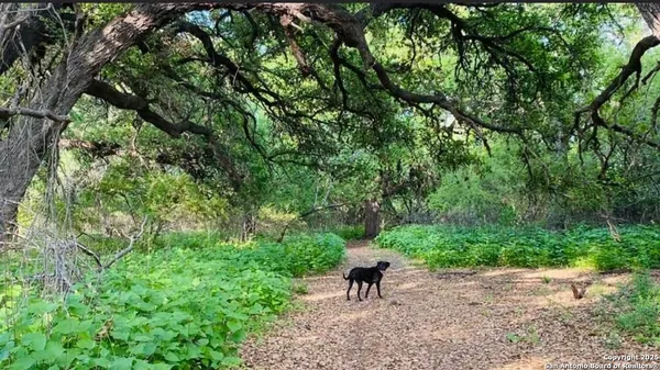 $150,000 | 299 Fort Clark Road, Brackettville, TX 78832