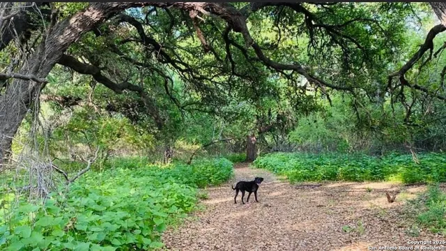 $150,000 | 299 Fort Clark Road, Brackettville, TX 78832