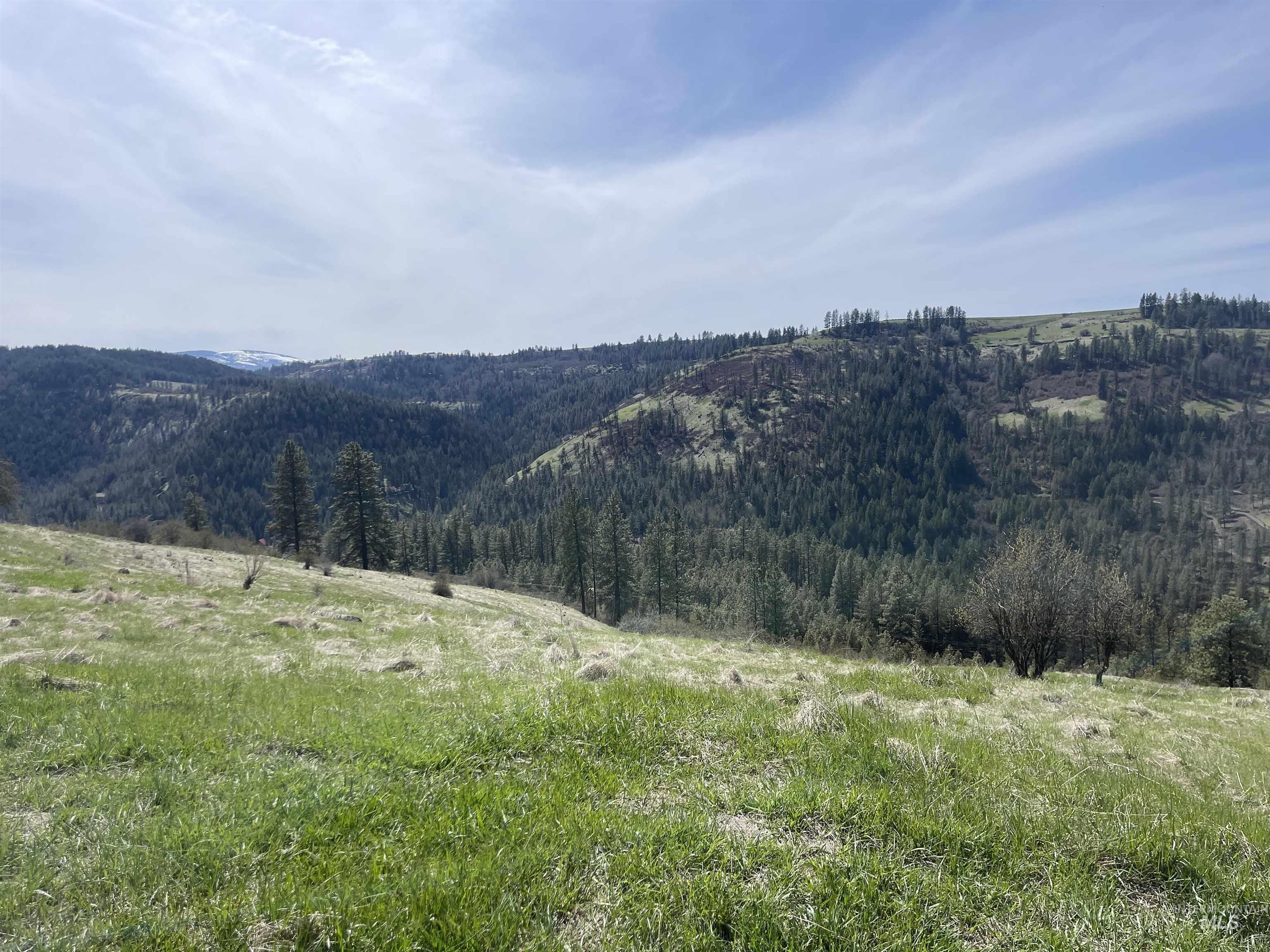 Tbd Wagonwheel Road Stites, ID 83552 - Photo 6 of 33