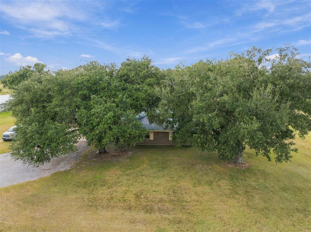255 Steven Road Ragley, LA 70657 - Photo 4 of 28 Gallery Image 4