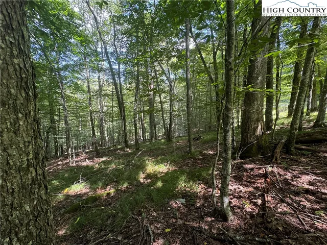 a view of outdoor space and trees
