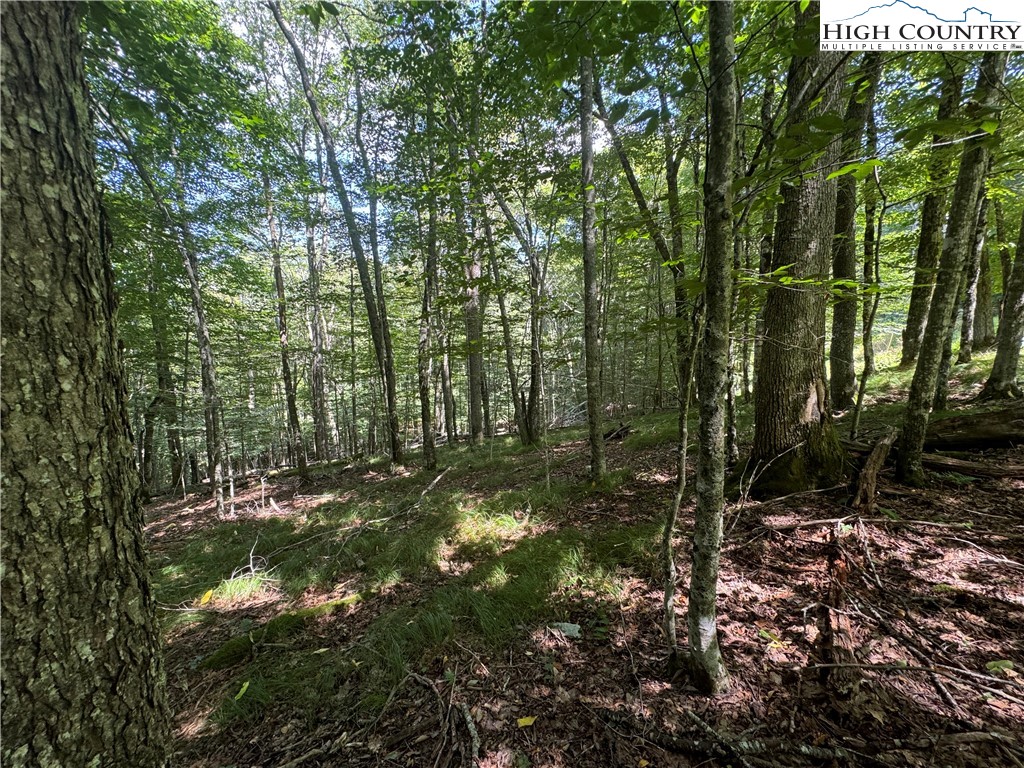 a view of outdoor space and trees