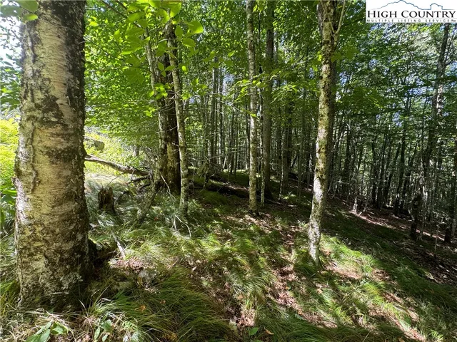 a view of outdoor space and deck