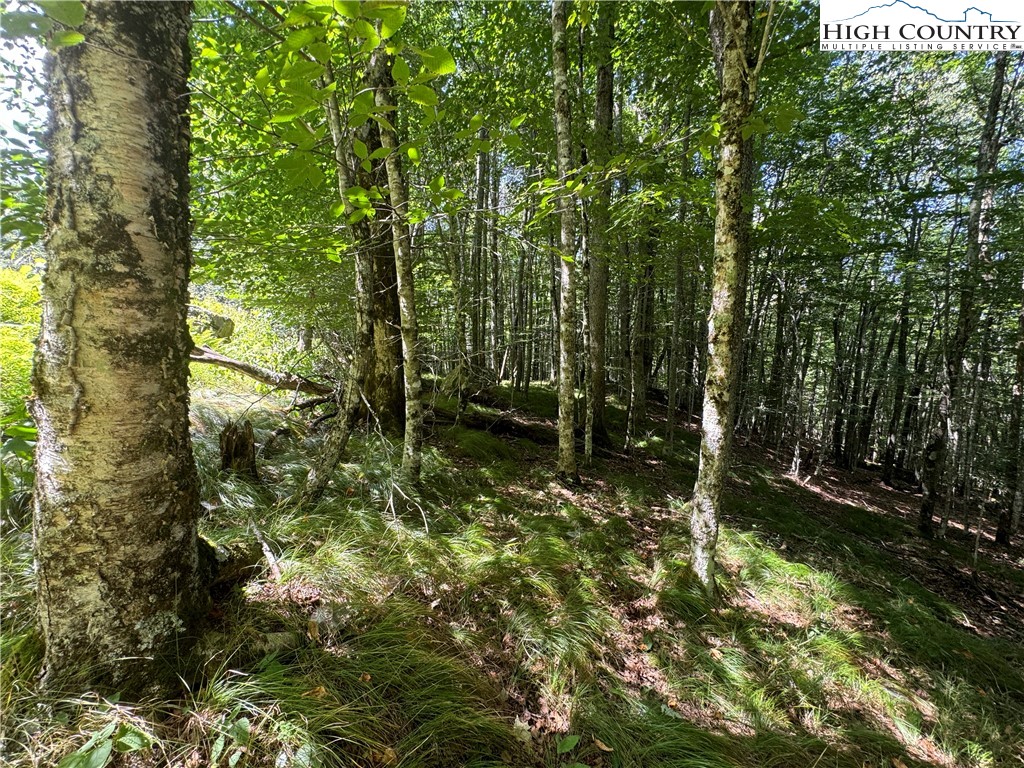 217 Sawmill Branch Road Beech Mountain, NC 28604 - Photo 11 of 45 a view of outdoor space and deck