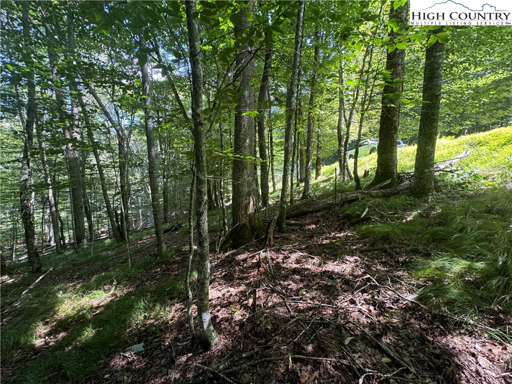 217 Sawmill Branch Road Beech Mountain, NC 28604 - Photo 13 of 45 a view of outdoor space and green space