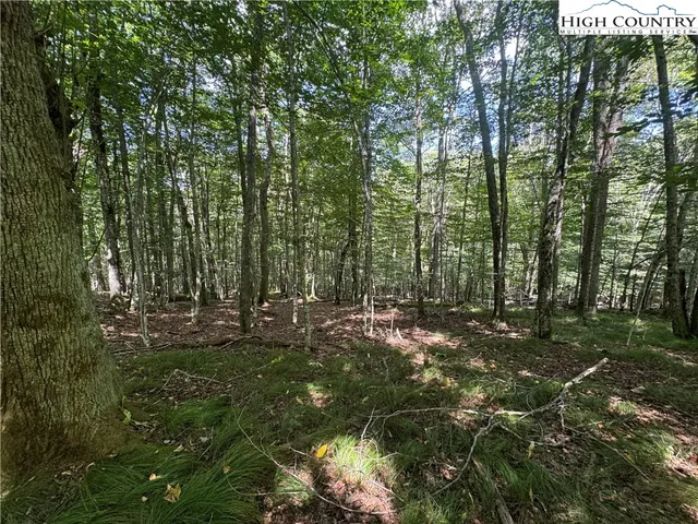a view of outdoor space and trees