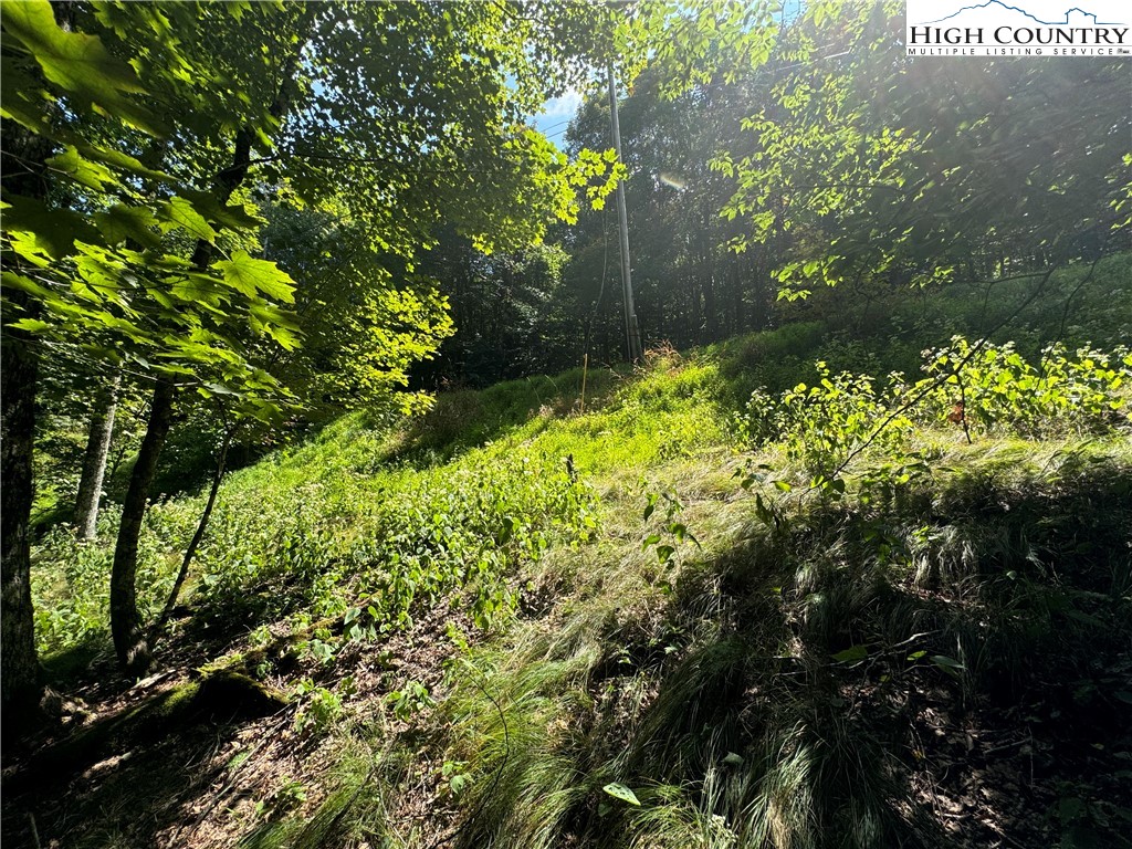 217 Sawmill Branch Road Beech Mountain, NC 28604 - Photo 15 of 45 a view of a garden