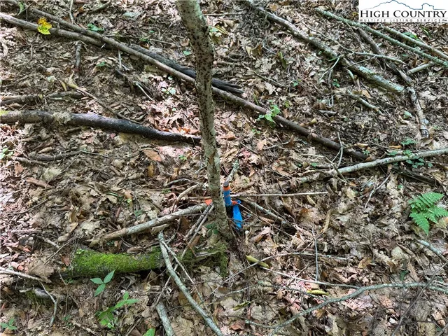 a view of outdoor space