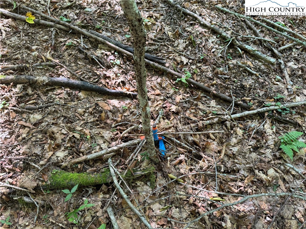 217 Sawmill Branch Road Beech Mountain, NC 28604 - Photo 18 of 45 a view of outdoor space