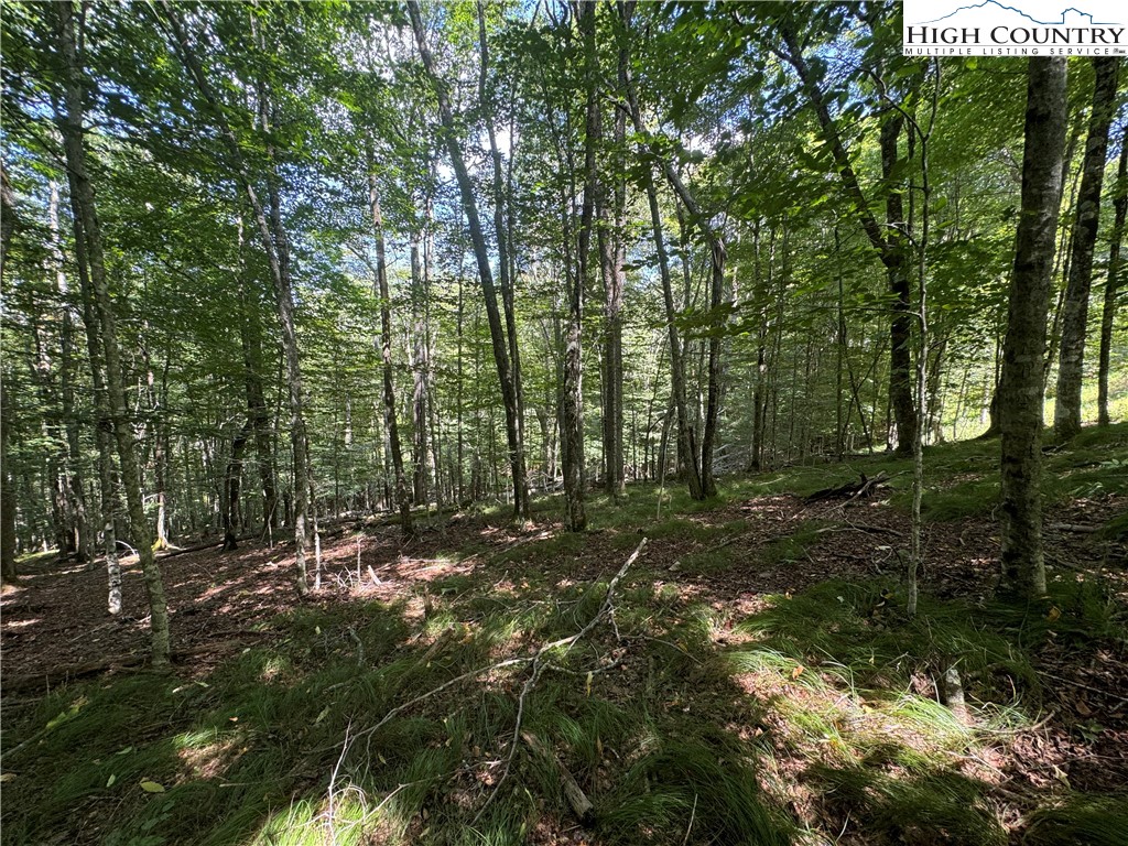 217 Sawmill Branch Road Beech Mountain, NC 28604 - Photo 2 of 45 a view of outdoor space and green space