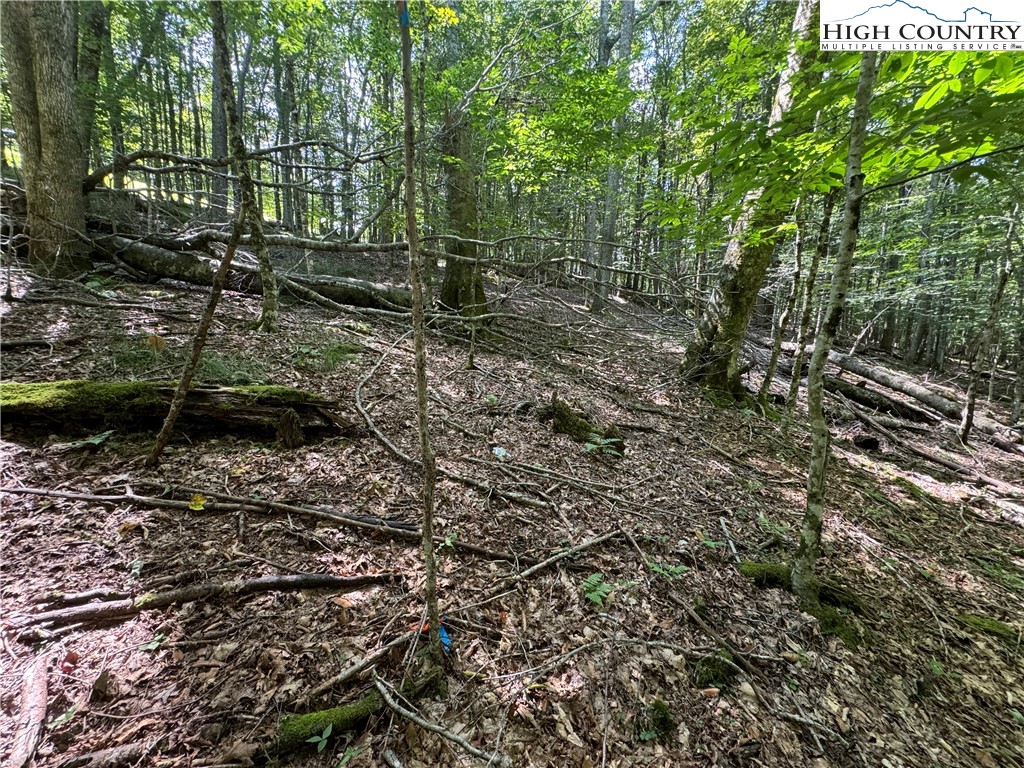 217 Sawmill Branch Road Beech Mountain, NC 28604 - Photo 21 of 45 a view of outdoor space and yard
