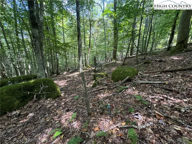 a big yard with lots of green space