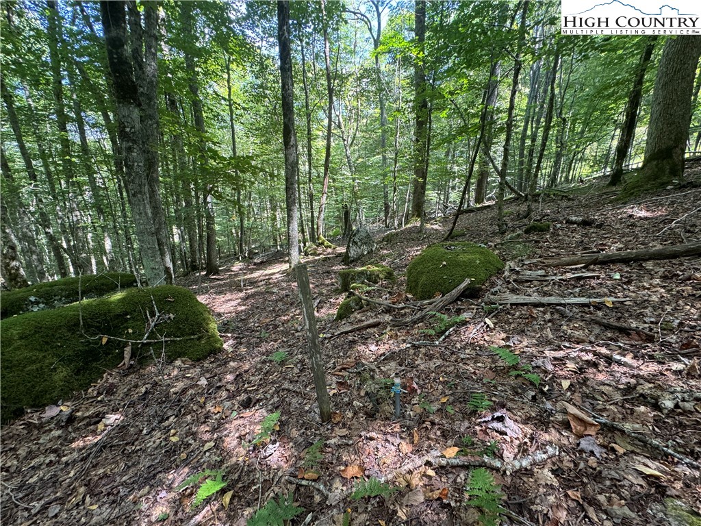 217 Sawmill Branch Road Beech Mountain, NC 28604 - Photo 24 of 45 a big yard with lots of green space