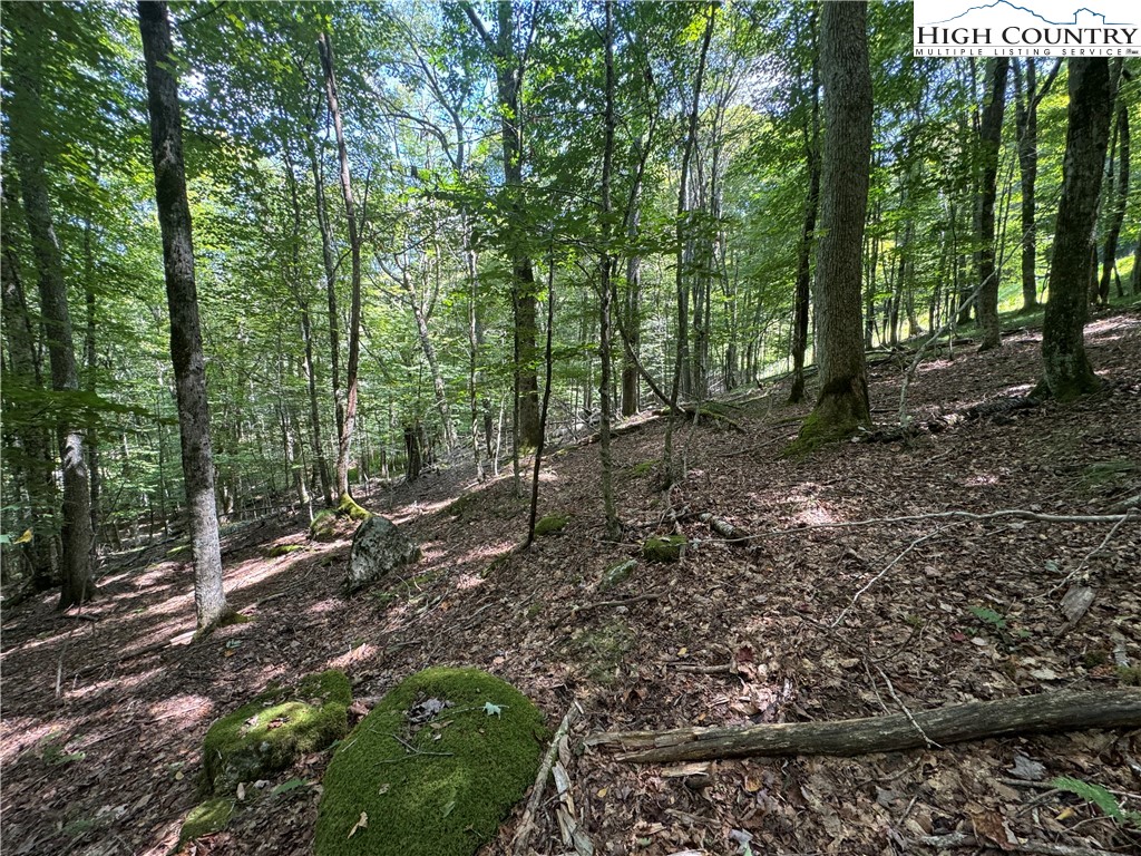 217 Sawmill Branch Road Beech Mountain, NC 28604 - Photo 25 of 45 a view of outdoor space and trees