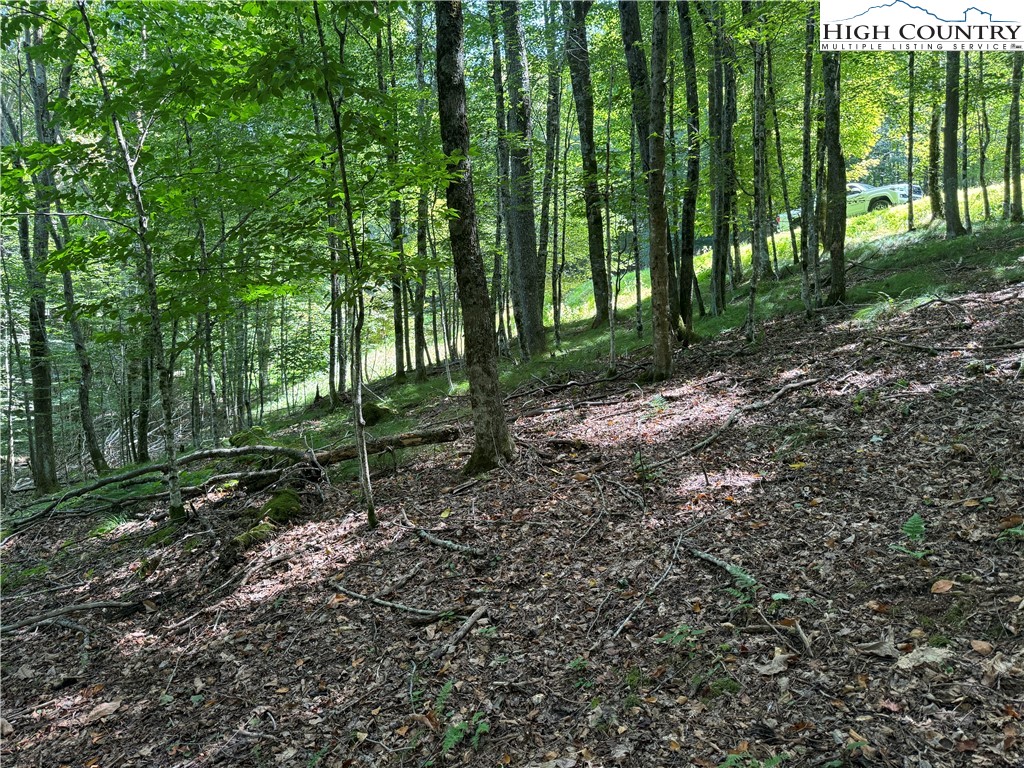 217 Sawmill Branch Road Beech Mountain, NC 28604 - Photo 26 of 45 a backyard of a house with lots of green space