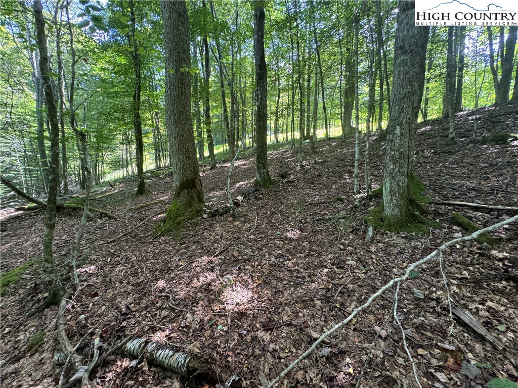 217 Sawmill Branch Road Beech Mountain, NC 28604 - Photo 29 of 45 a view of outdoor space and green space