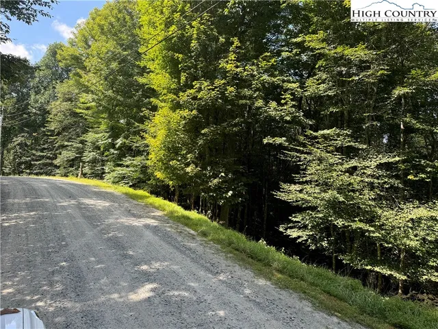 a view of a garden with plants
