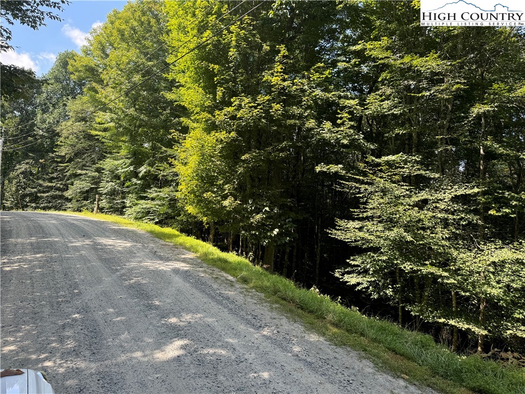 217 Sawmill Branch Road Beech Mountain, NC 28604 - Photo 3 of 45 a view of a garden with plants