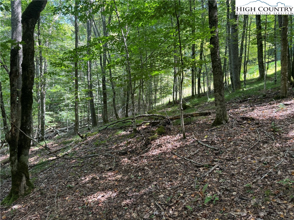217 Sawmill Branch Road Beech Mountain, NC 28604 - Photo 31 of 45 a view of outdoor space and yard