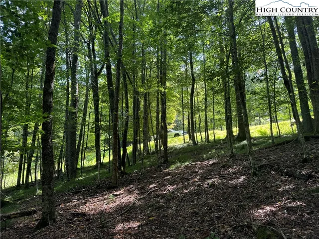 a view of outdoor space and trees