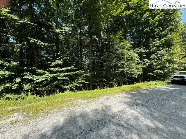 a view of a yard with plants and trees