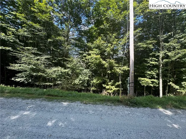 a view of a yard with plants and trees