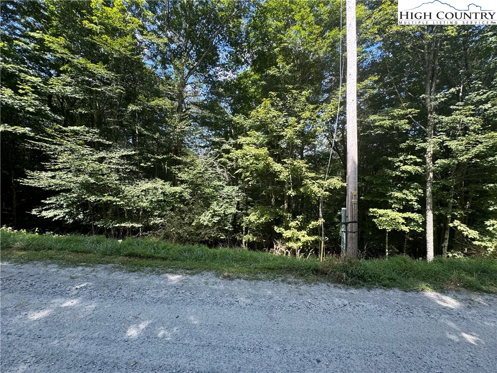 217 Sawmill Branch Road Beech Mountain, NC 28604 - Photo 36 of 45 a view of a yard with plants and trees
