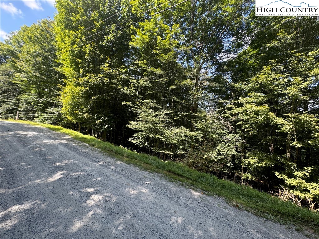 217 Sawmill Branch Road Beech Mountain, NC 28604 - Photo 37 of 45 a view of a forest with a tree