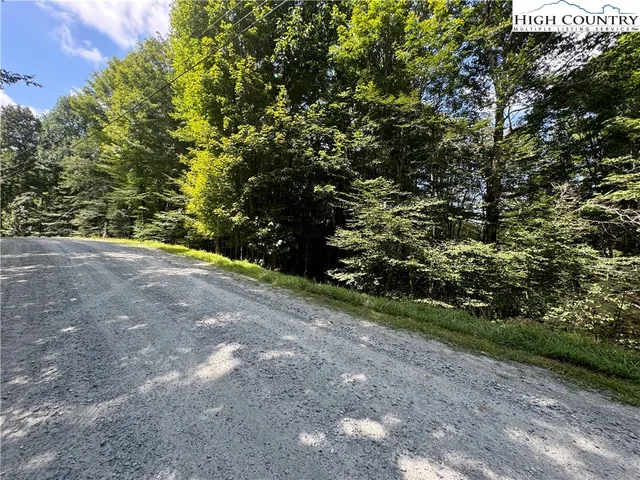 a view of a field with plants and trees
