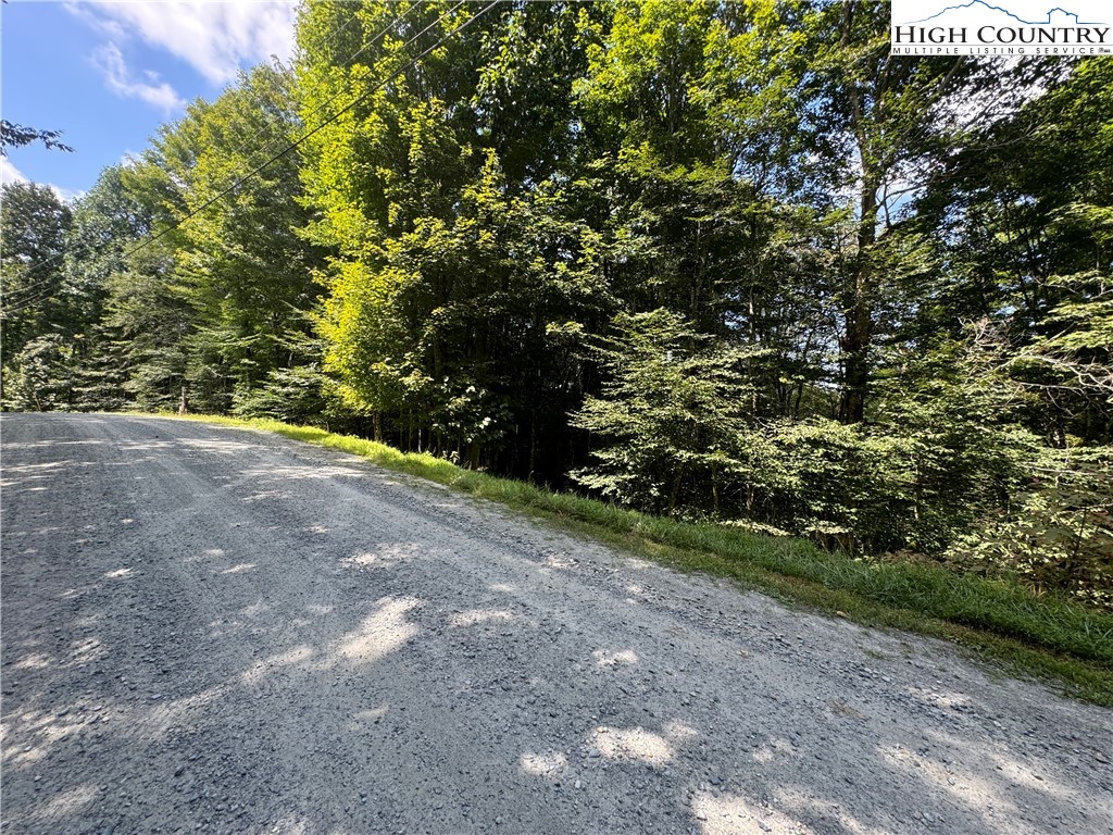 217 Sawmill Branch Road Beech Mountain, NC 28604 - Photo 38 of 45 a view of a field with plants and trees
