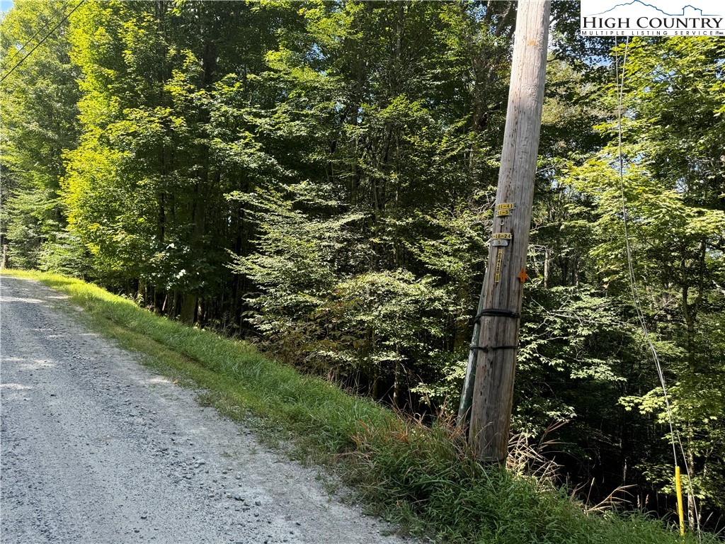 217 Sawmill Branch Road Beech Mountain, NC 28604 - Photo 39 of 45 a view of a yard with plants and large trees