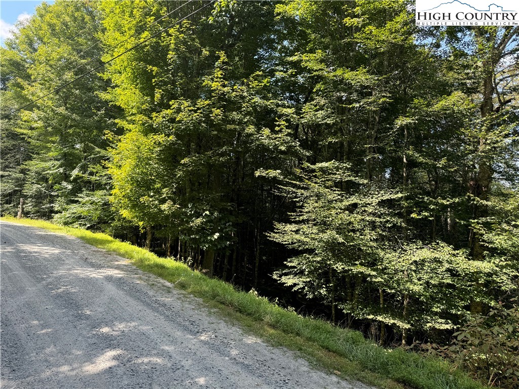 217 Sawmill Branch Road Beech Mountain, NC 28604 - Photo 40 of 45 a view of a garden with plants