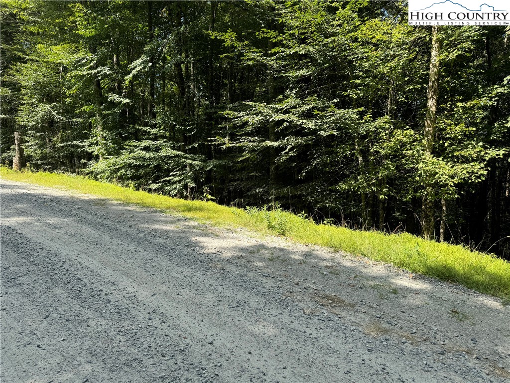 217 Sawmill Branch Road Beech Mountain, NC 28604 - Photo 41 of 45 a view of a yard with a swimming pool