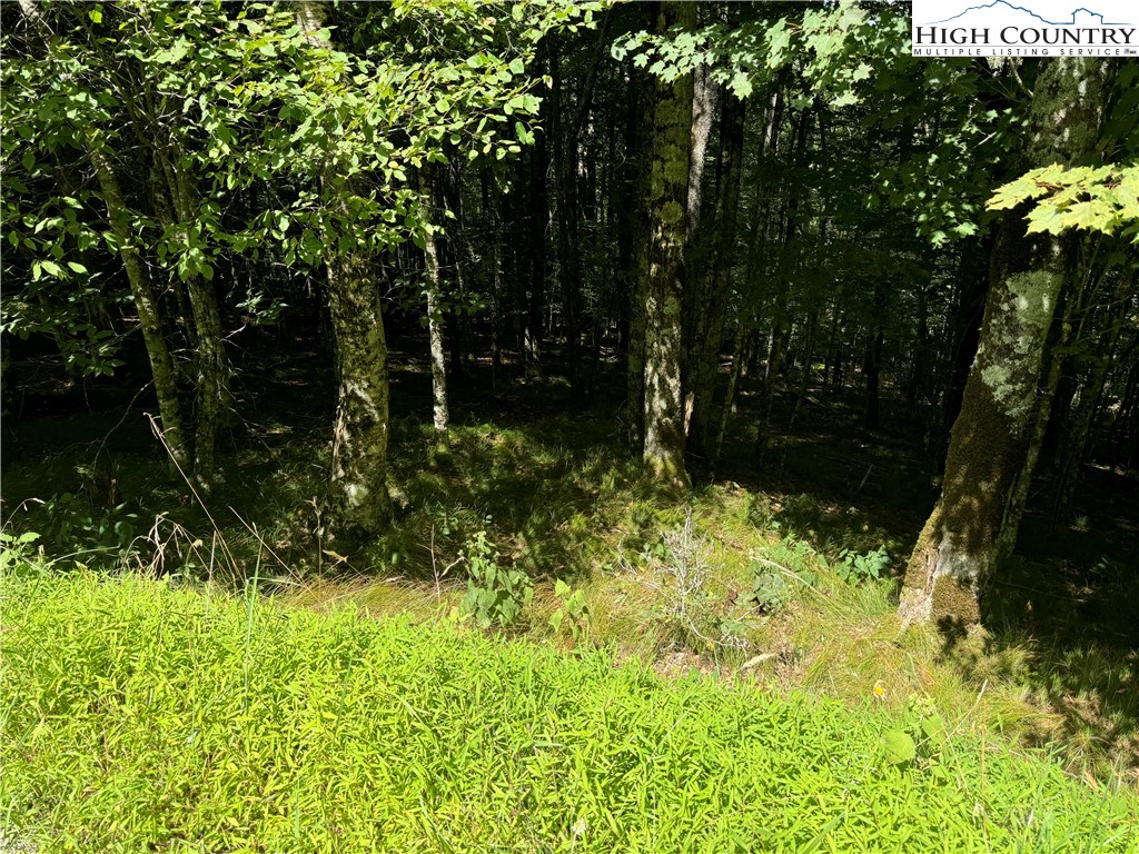 217 Sawmill Branch Road Beech Mountain, NC 28604 - Photo 43 of 45 a view of outdoor space yard and green space