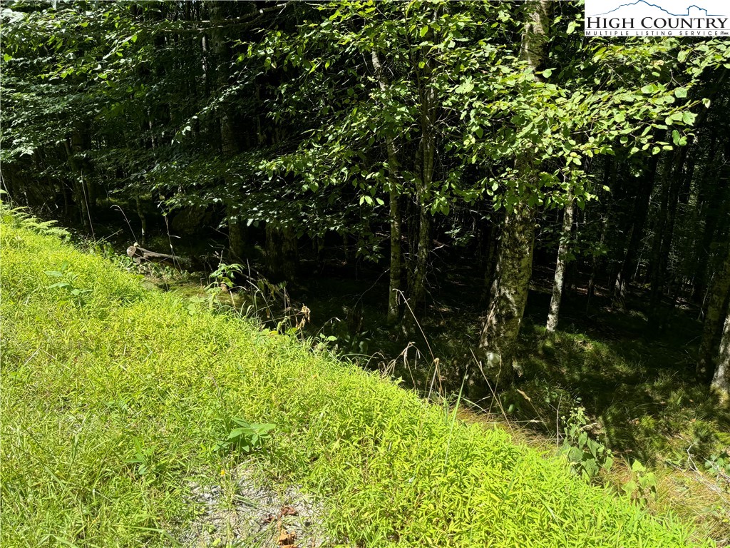 217 Sawmill Branch Road Beech Mountain, NC 28604 - Photo 44 of 45 a view of a garden