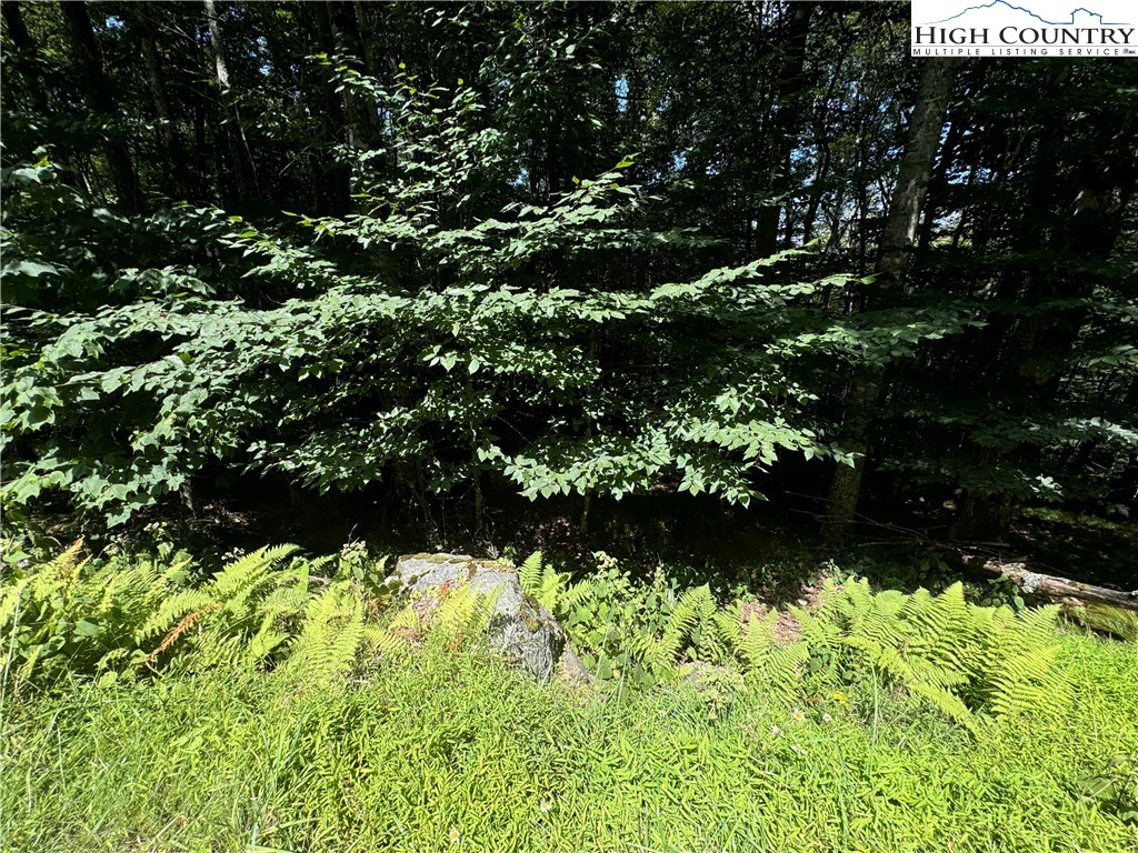 217 Sawmill Branch Road Beech Mountain, NC 28604 - Photo 6 of 45 a view of a garden