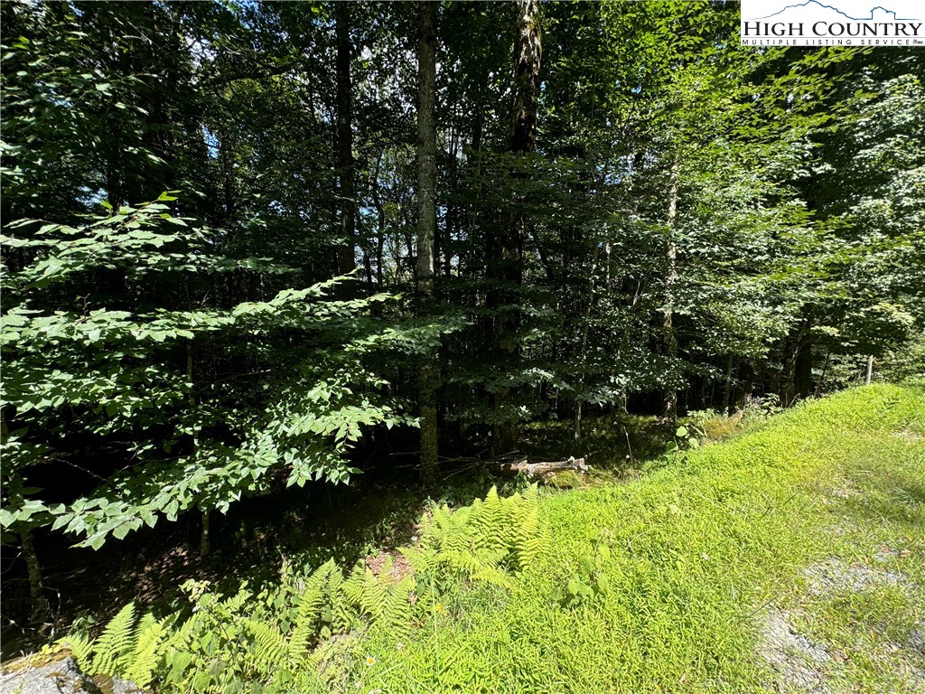 217 Sawmill Branch Road Beech Mountain, NC 28604 - Photo 7 of 45 a view of a garden