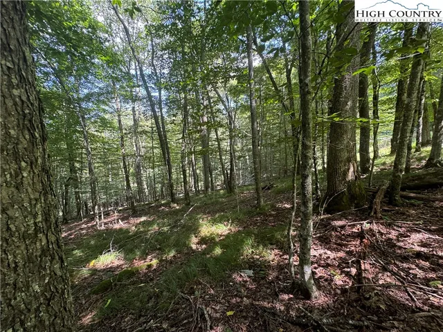 a view of outdoor space and trees
