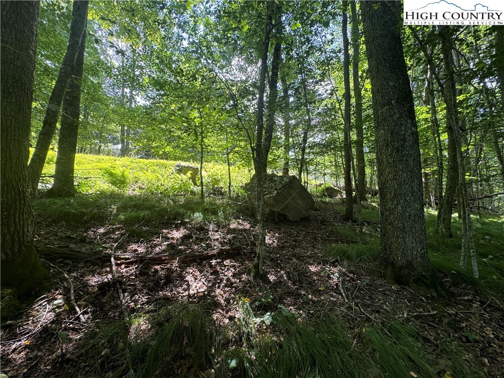 217 Sawmill Branch Road Beech Mountain, NC 28604 - Photo 9 of 45 a view of outdoor space and garden