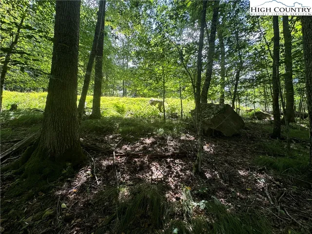 a view of outdoor space and garden