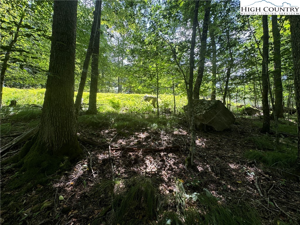 217 Sawmill Branch Road Beech Mountain, NC 28604 - Photo 10 of 45 a view of outdoor space and garden