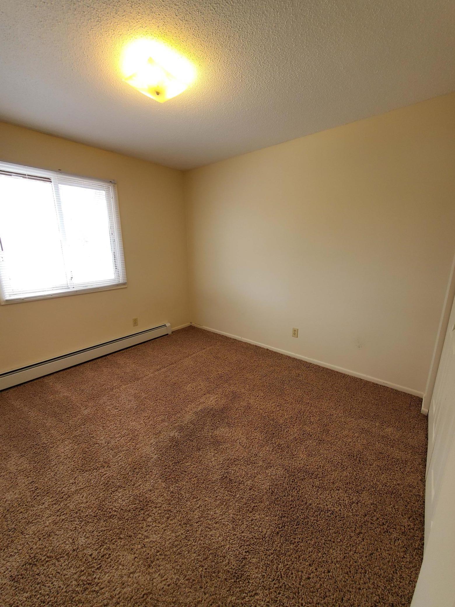 4474 Denbigh Road Mound, MN 55364 - Photo 10 of 19