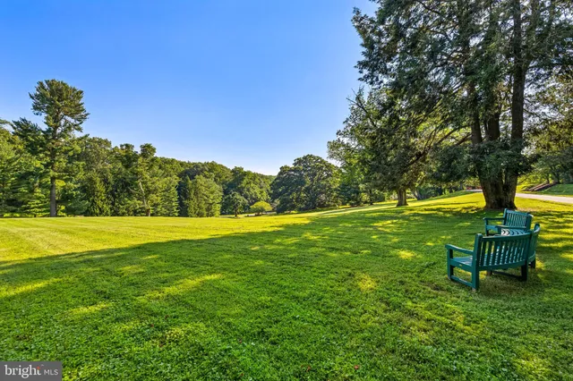 a view of a garden with large trees