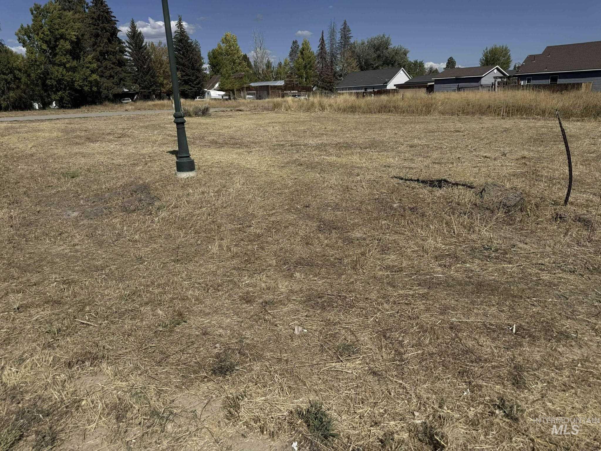 201 East Spruce Fairfield, ID 83327 - Photo 2 of 8 View of yard