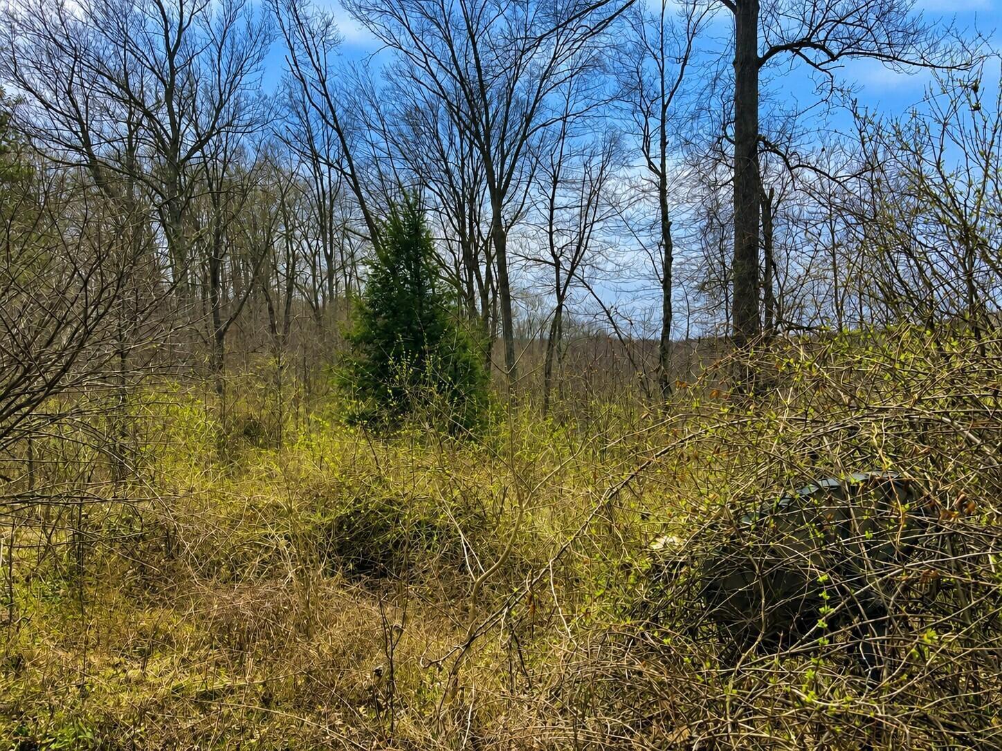 799 Woodruff Road Vinton, OH 45686 - Photo 4 of 4 Woodruff pic 1