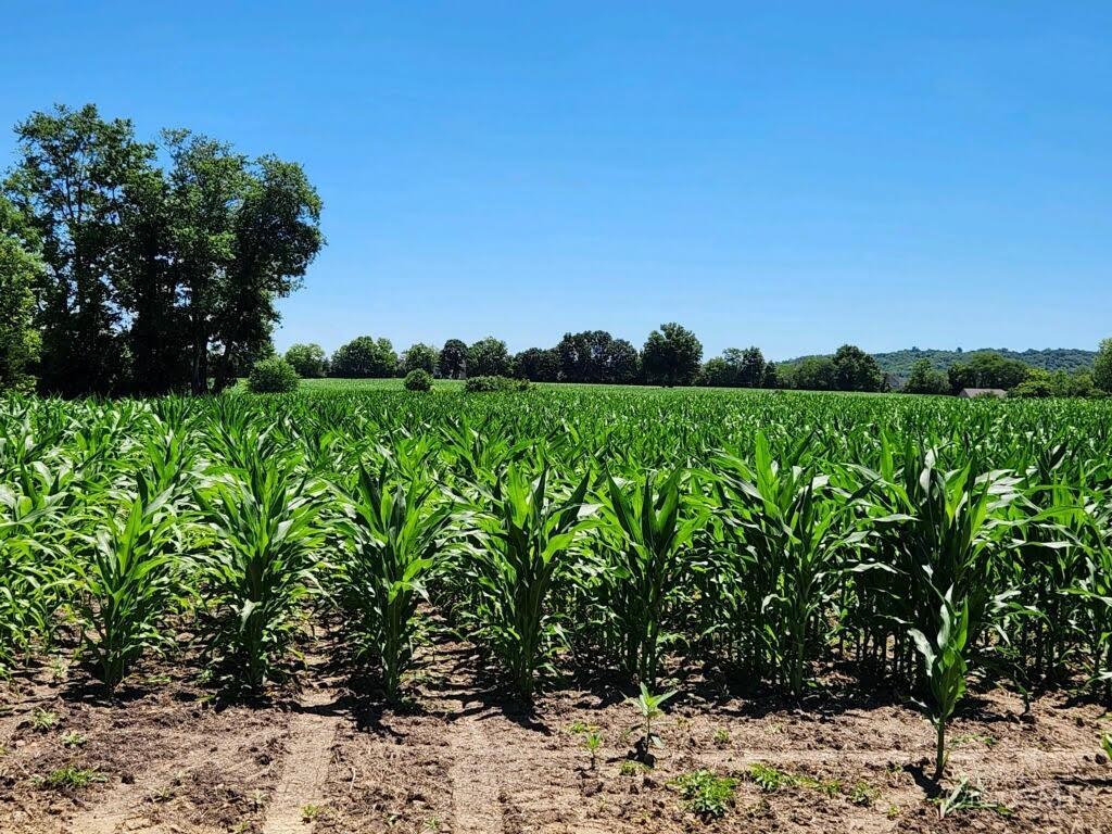 Acres Edgewood Road Harrison, OH 45030 - Photo 13 of 15
