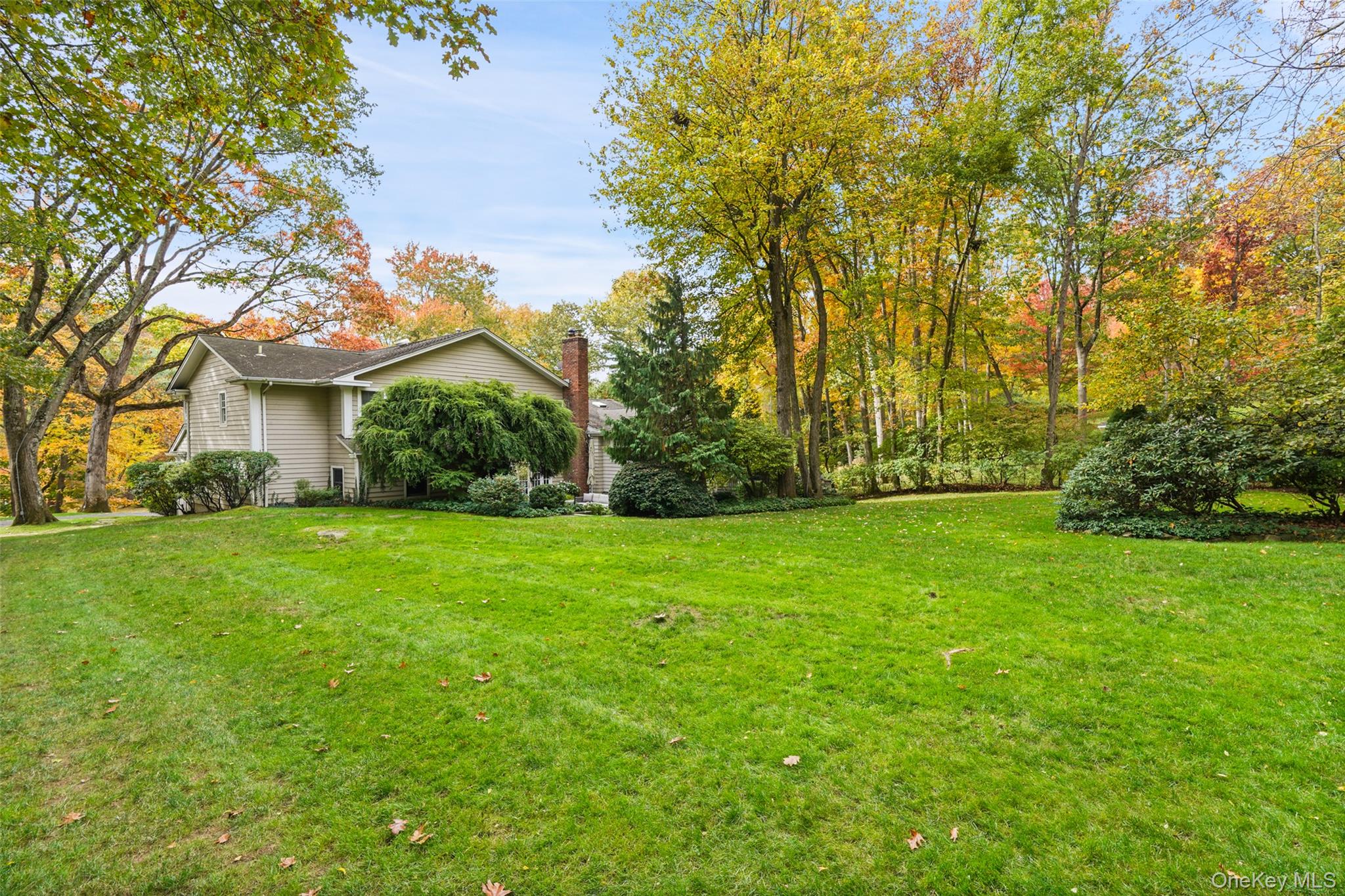10 Oriole Place Rye Brook, NY 10573 - Photo 2 of 40 a view of a backyard with large trees