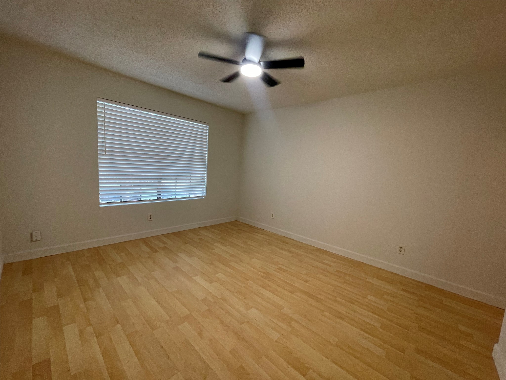 2031 Redwing Way Round Rock, TX 78664 - Photo 8 of 25 A quiet bedroom featuring light laminate floors and a modern ceiling fan for comfort.